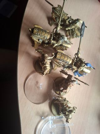 Custodes Adrián - Figuras Warhammer