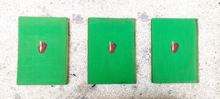 Lote 3 libros vintage de aventuras Rodegar