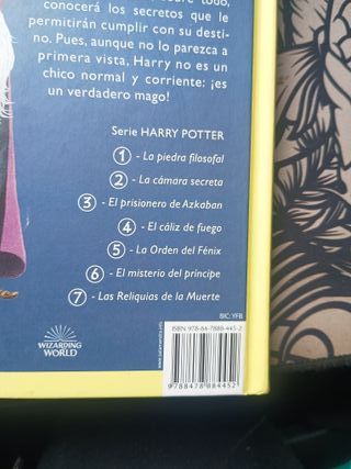 Harry Potter Y La Piedra Filosofal