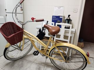 Bicicleta Paseo Revisada