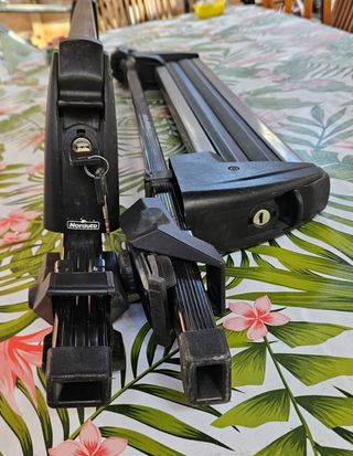 Portaesquís Auto Maxi