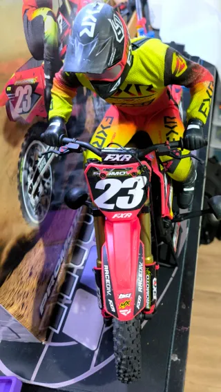 Losi Promoto motocross