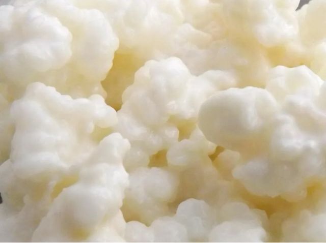 Bote de cristal con búlgaros 