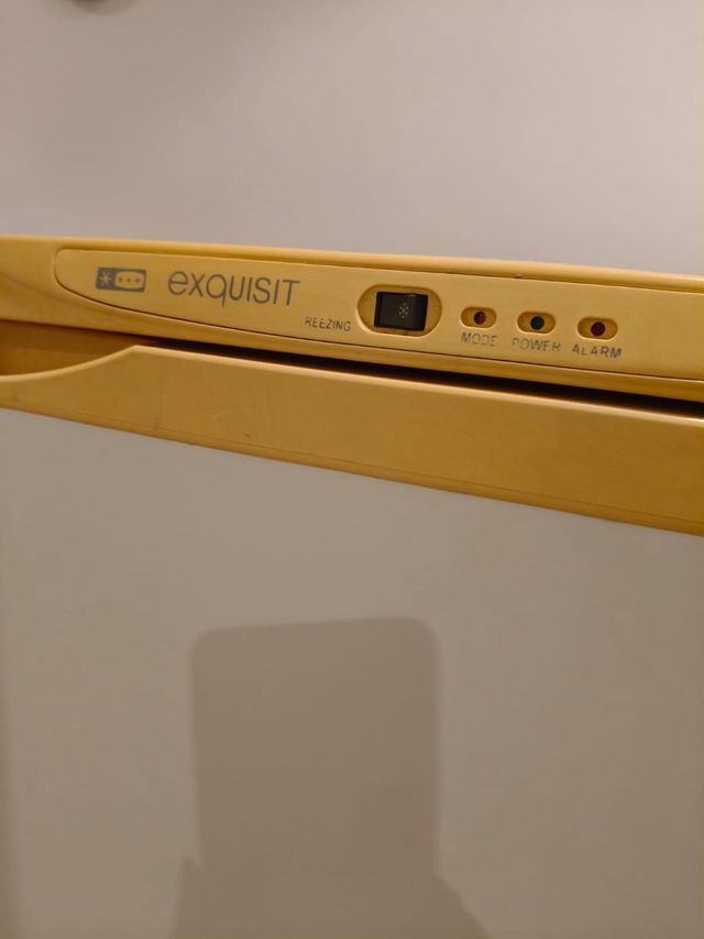 Congelador Exquisit con cajones