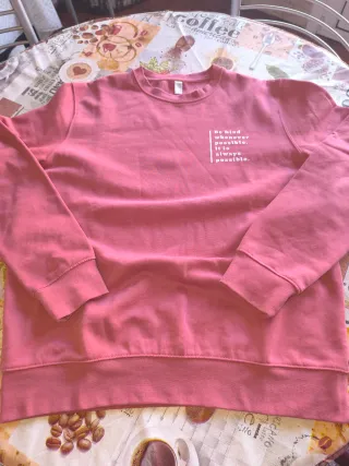 Lote 4 sudaderas: Tommy Hilfiger, azul, coral, neg