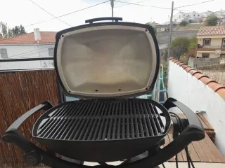 Barbecue elettrico Weber Q 2400 con supporto