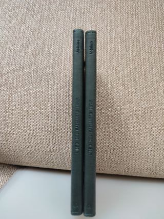 Libro del caballero cifar