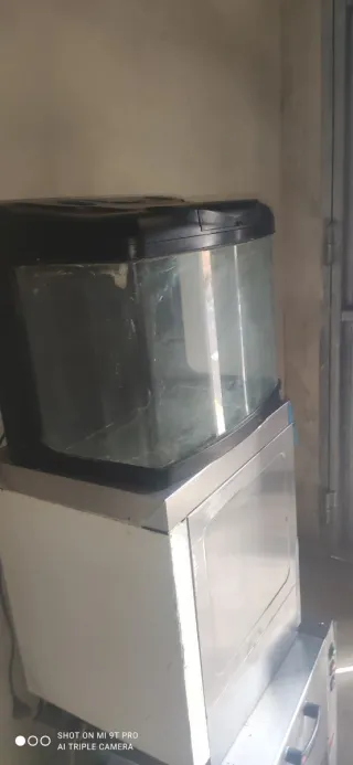 Acuario negro y transparente