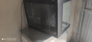 Acuario negro y transparente