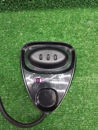 Plancha de vapor morada