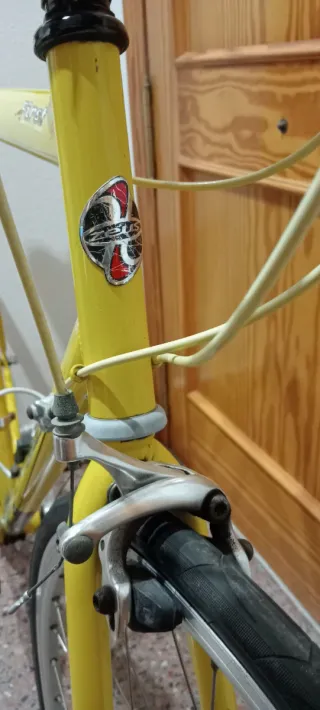 Bicicleta de carretera Zeus clásica