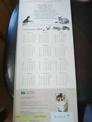 Calendario 2026 con Gatti