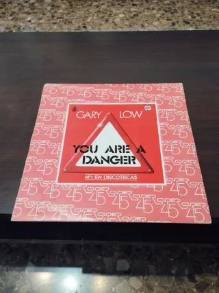 Maxi Single Gary Low You Are Danger 45 RPM