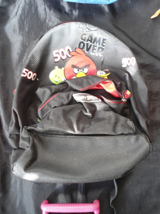 Lotto 3 zaini: Looney Tunes, Angry Birds, Dino Fro