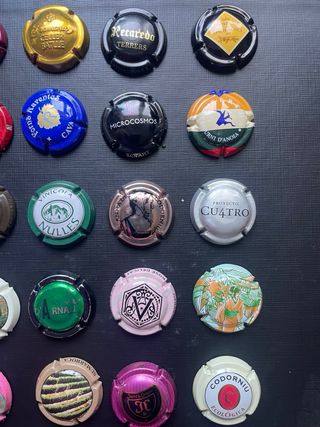 Lote de 30 chapas de cava