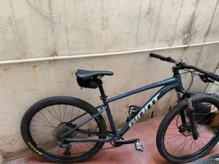 Bicicleta Giant 29