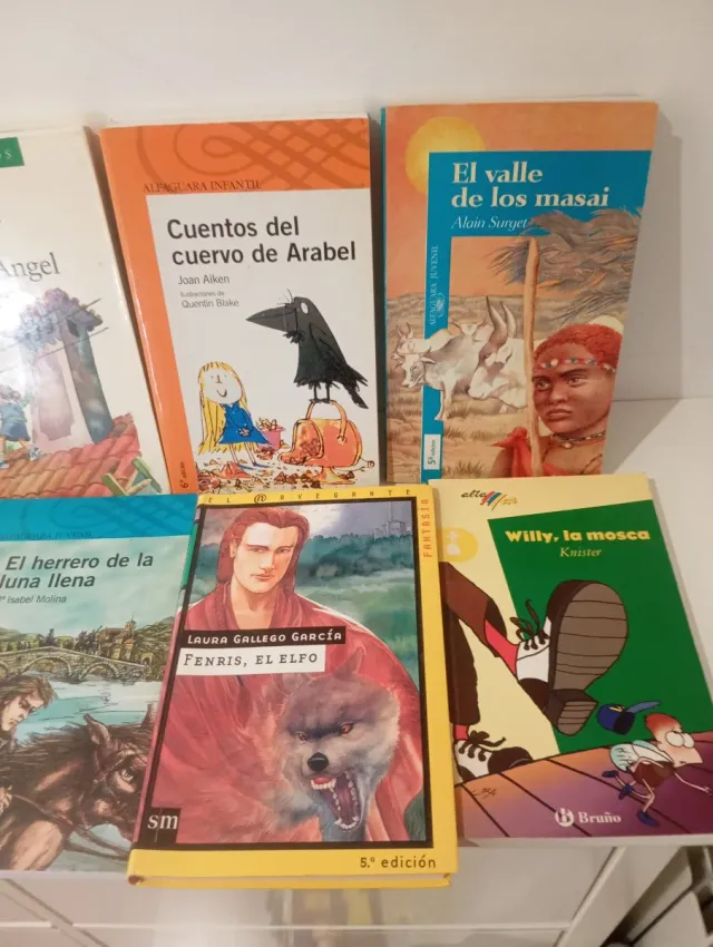 Lote libros 10-12 años