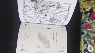 Libro Hueco Ed. limitada Hollow Knigth + medallon