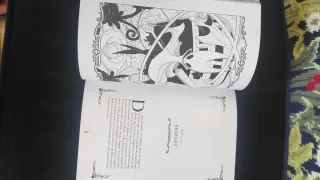 Libro Hueco Ed. limitada Hollow Knigth + medallon