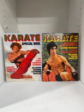 11 Revistas de Bruce Lee y karate vintage