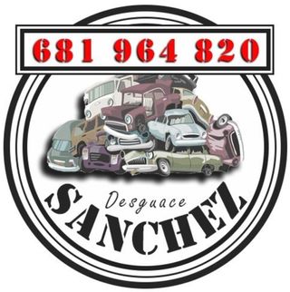 Peugeot 106277 paragolpes del 207 1.6 16v hdi fap