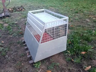 Jaula para perros metálica con doble puerta