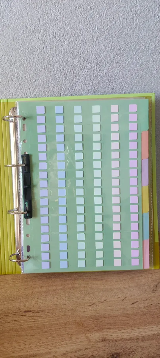 Archivador A4 Bismark + estuche + recambio