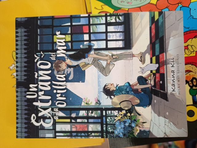 Un extraño a la orilla del mar