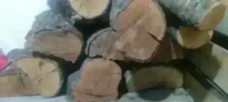 Leña de encina de calidad