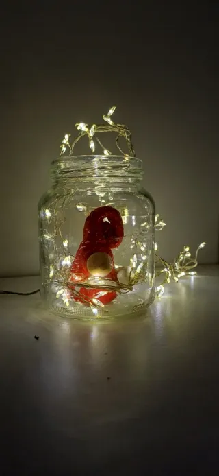 Barattolo in vetro natalizio con gnomo e luci led