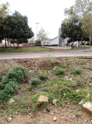 Parcela urbana 132m² dentro del pueblo