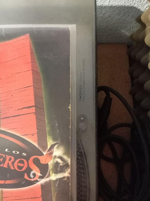 Vinilo SFDK - Desde los Chiqueros