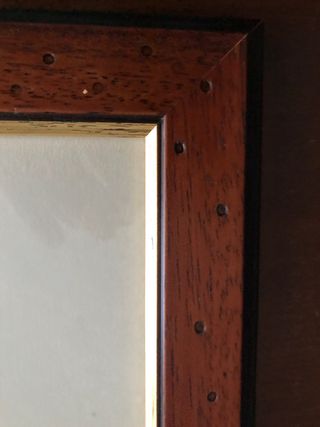 Dipinto cavallo acquerello