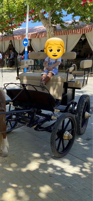 Jardinera Coche de Caballos