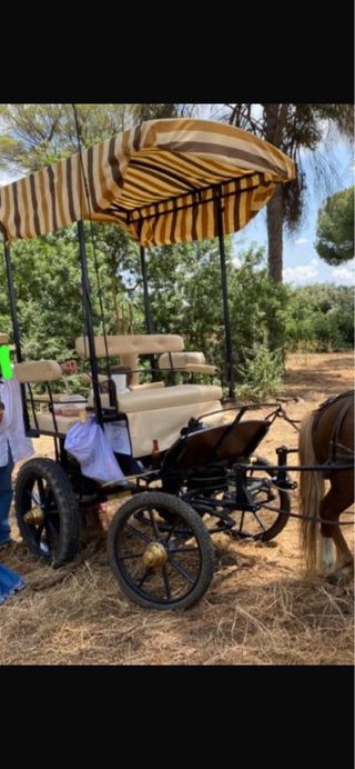 Jardinera Coche de Caballos