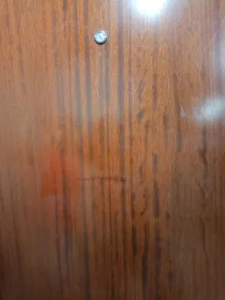 Puerta blindada madera oscura