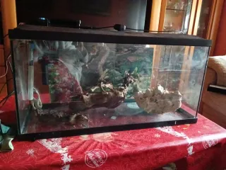 Acuario completo o por piezas