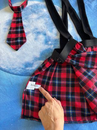 Falda y corbata a cuadros sexy