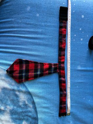 Falda y corbata a cuadros sexy