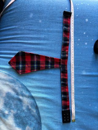 Falda y corbata a cuadros sexy