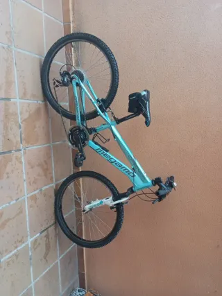 Bicicleta Megamo con rueda de recambio