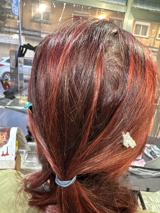 Accesorios para el cabello: Peinetas y horquillas