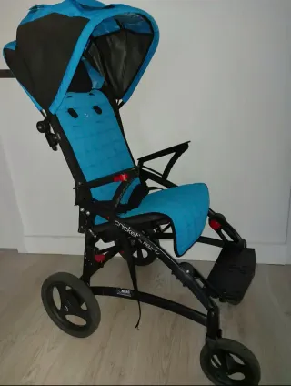 sedia a rotelle. Passeggino per bambini
