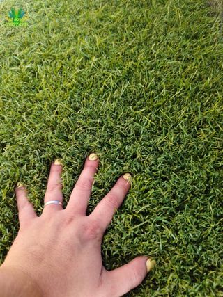 Cesped artificial verde
