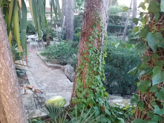 Se vende Chalet rústica  en denia 