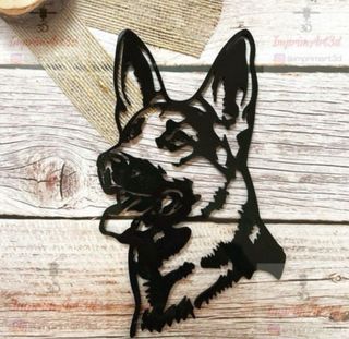 adopto cachorro