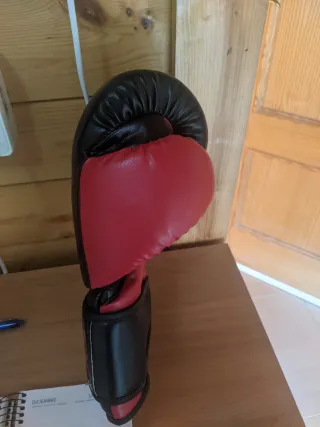 Guantes de boxeo Charlie 16 Oz