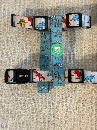 Arnés y Correa M/L Dinosaurios Dukier