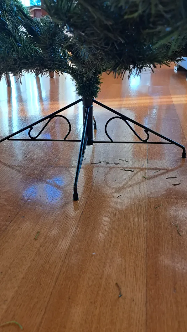 ALBERO DI NATALE COIN