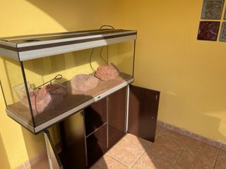 Acuario con mueble y decoración